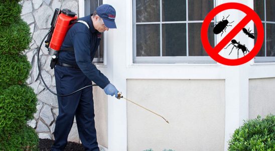 Digor Tahtakurusu İlaçlama böcek ilaçlama ve haşere kontrolü — ilaclama-tr.com